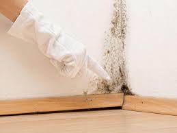 Best Mold Odor Removal Services  in Mineral Springs, NC